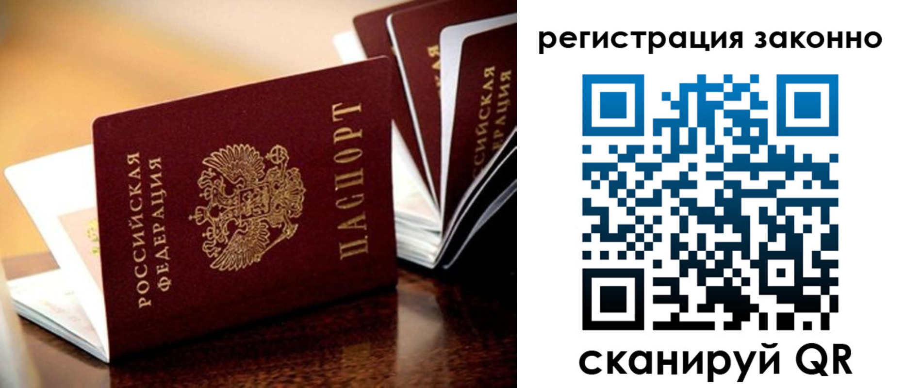 прописка для школы в Сланцах